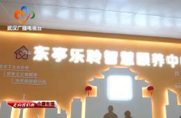 中宣部采访团到访武汉东亭社区Z6尊龙凯时智慧颐养中心